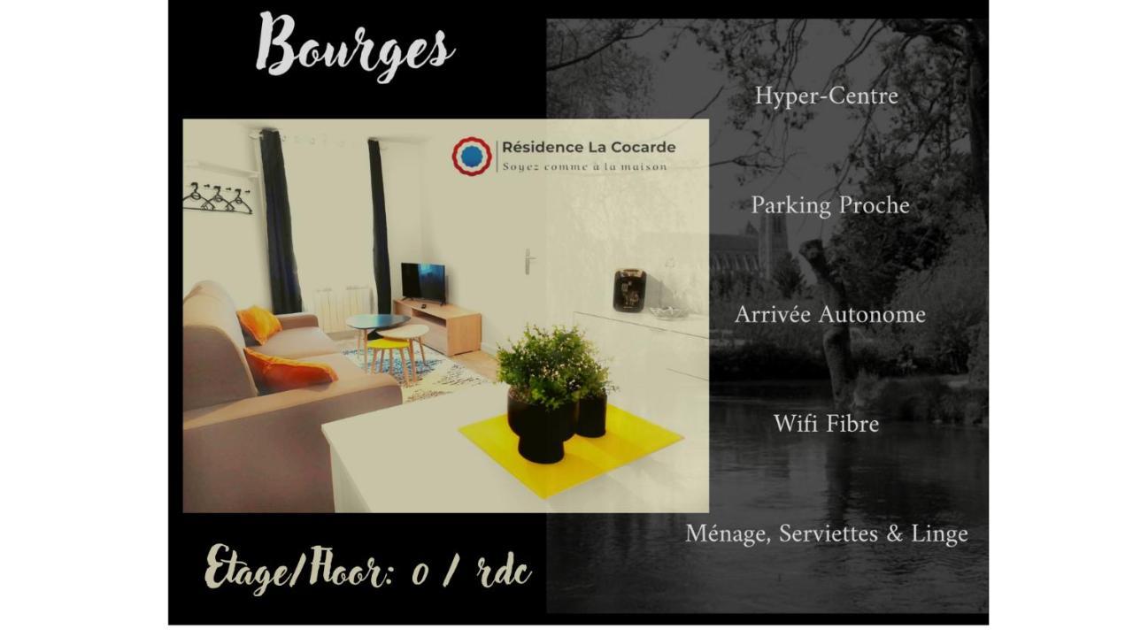 La Cocarde, Type Apartment Bourges